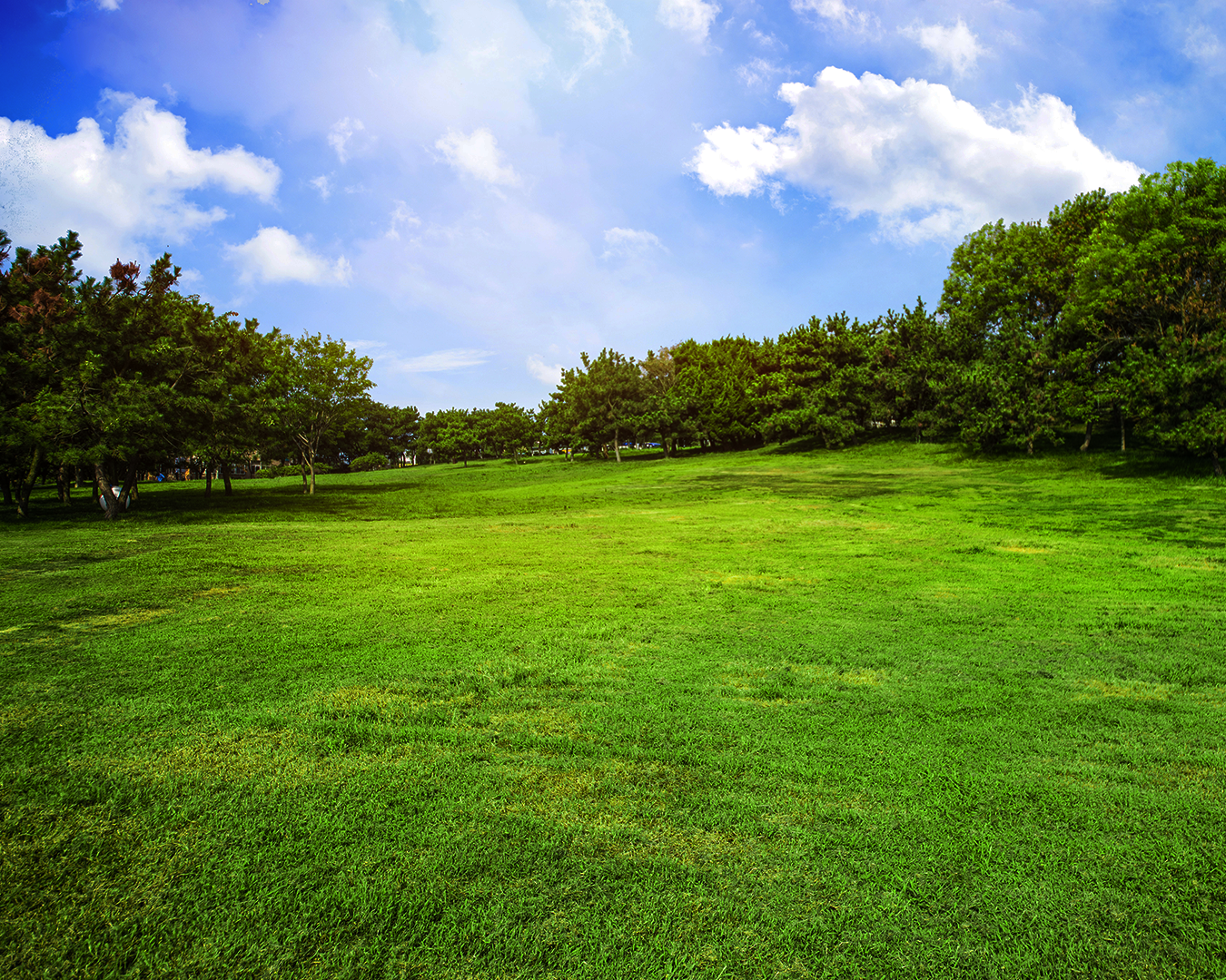 QUER COMPRAR UM TERRENO? NÃO PERCA ESSAS DICAS!